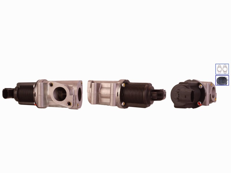 EGR valve
