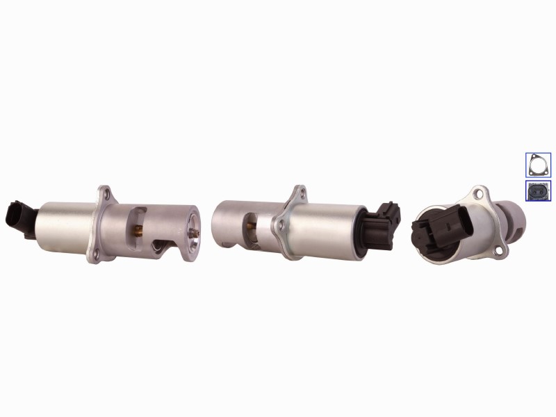 EGR valve