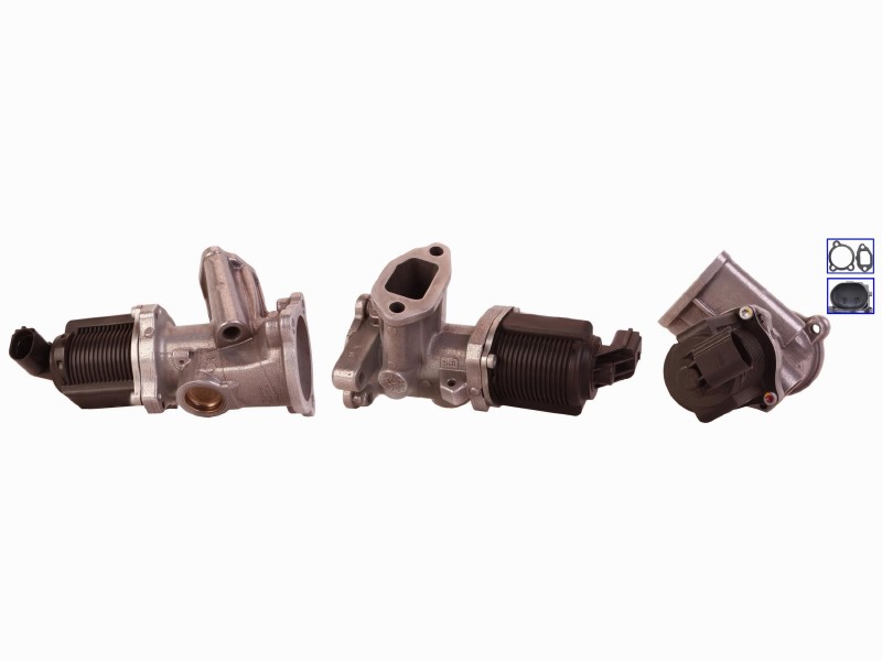 EGR valve