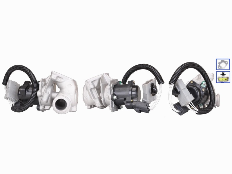 EGR valve