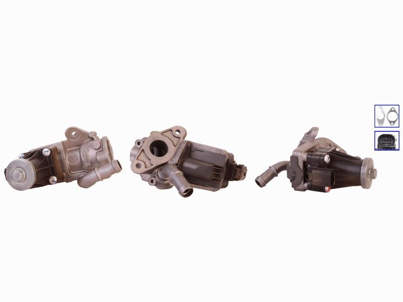 EGR valve