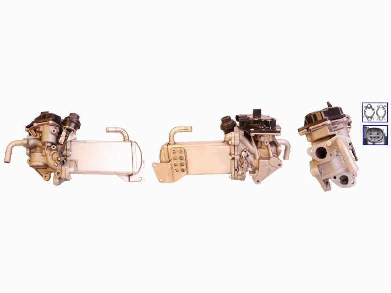 EGR valve