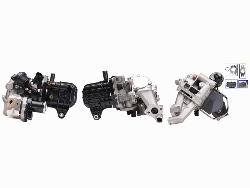EGR valve