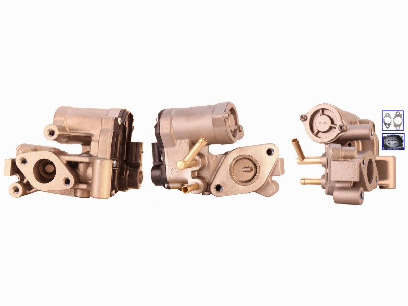 EGR valve