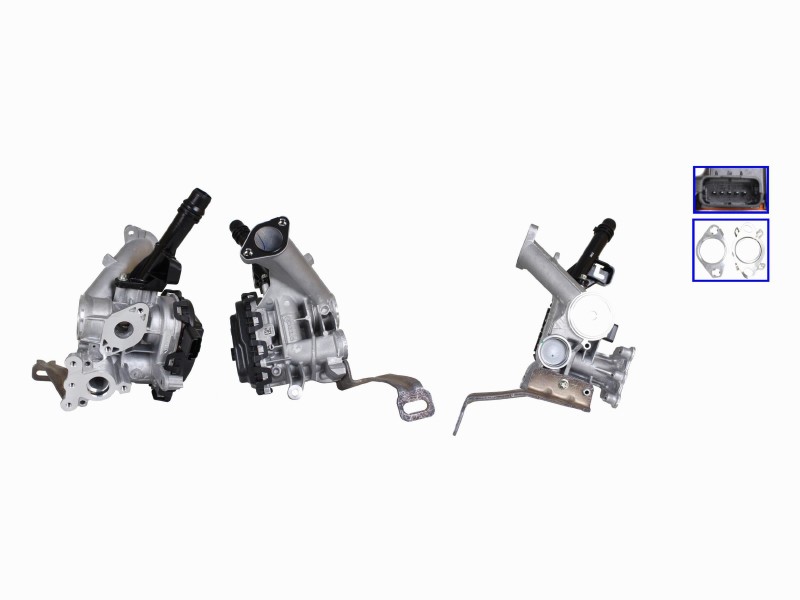 EGR valve