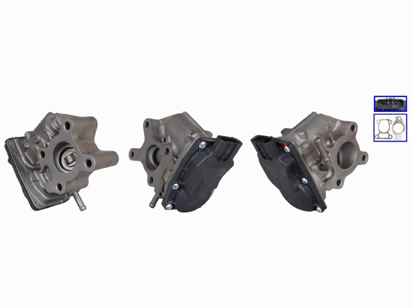 EGR valve
