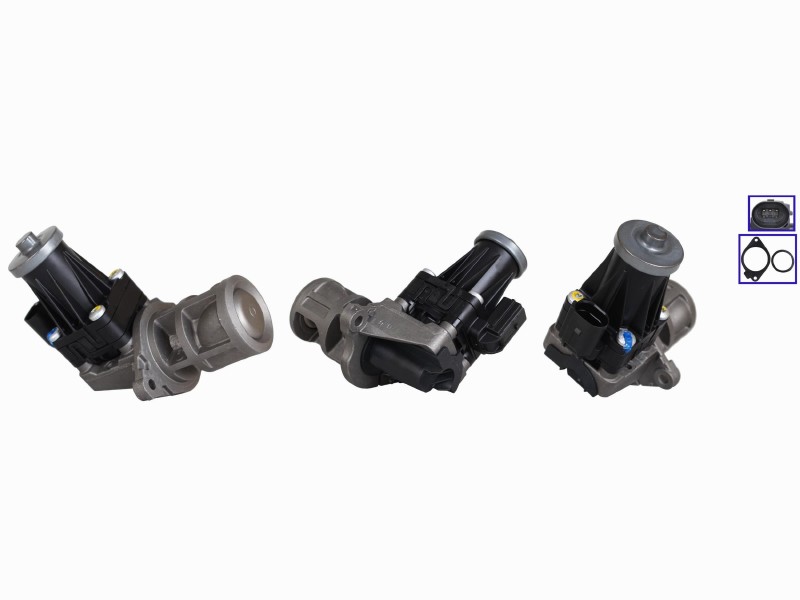EGR valve