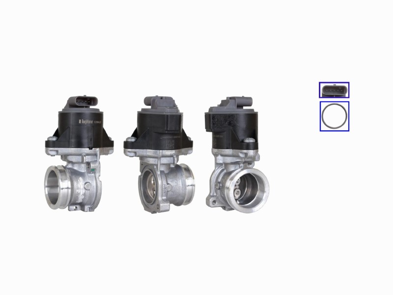 EGR valve