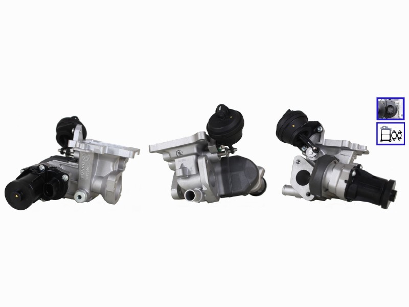 EGR valve