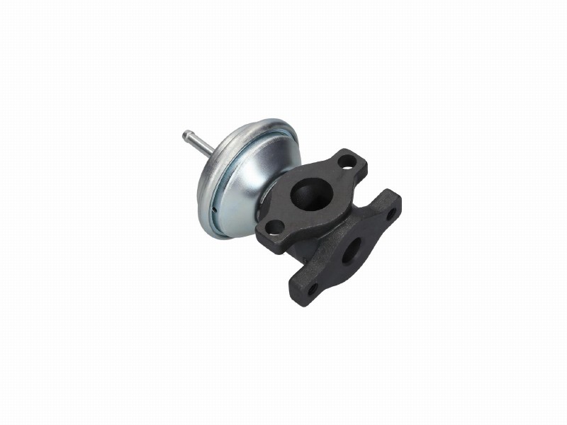 Valvola ricircolo gas scarico-EGR