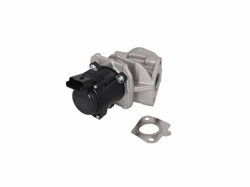 EGR valve