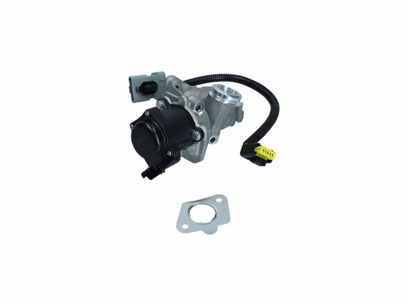 EGR valve