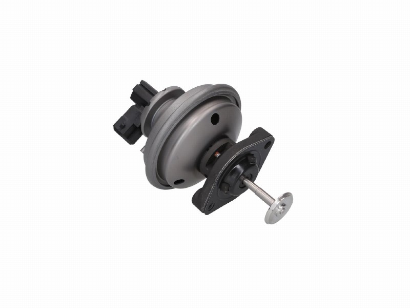 Valvola ricircolo gas scarico-EGR