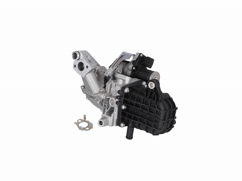 EGR valve
