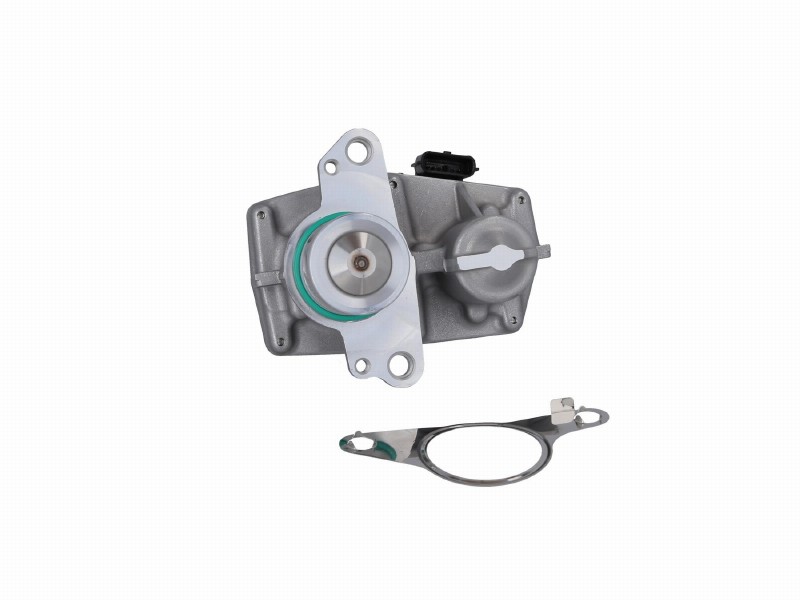 EGR valve