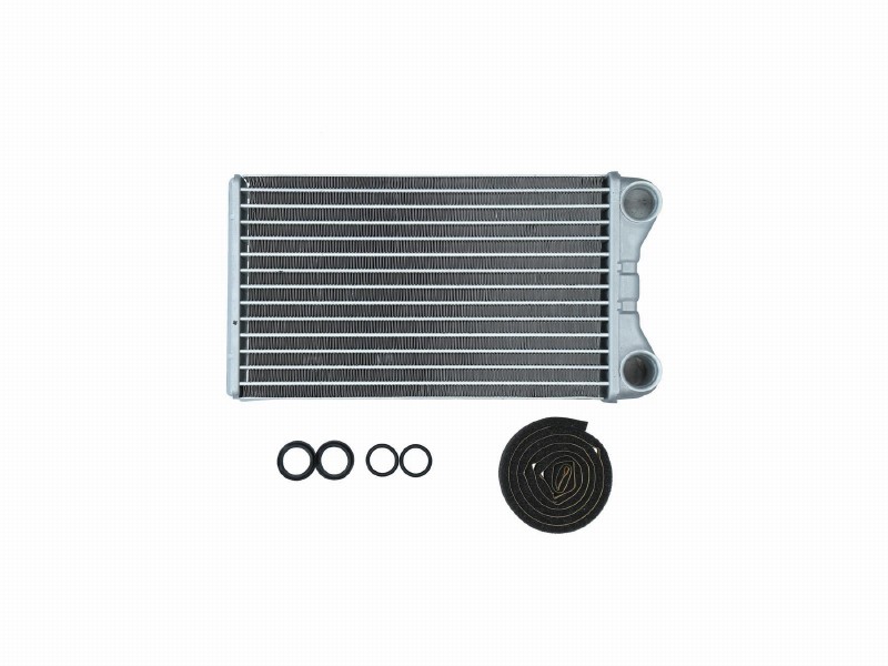 Radiator mount