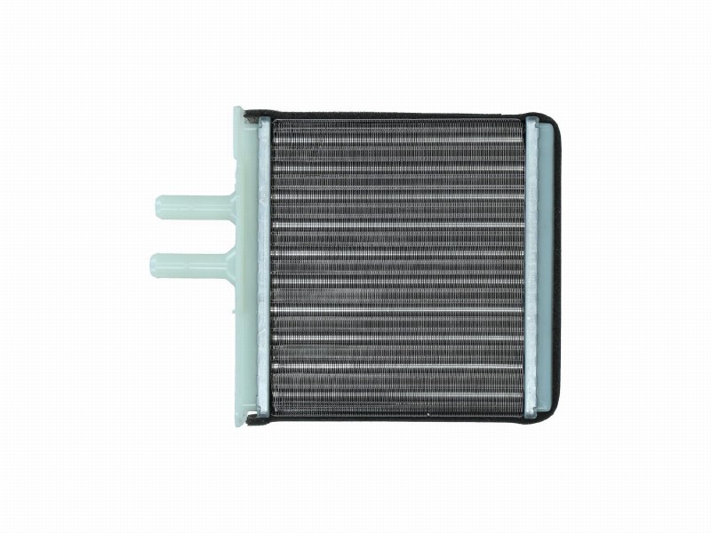 Radiator mount