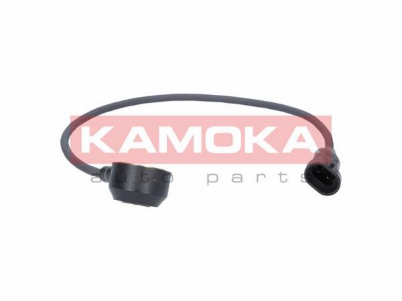 Knock sensor