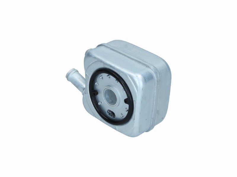 Oil cooler, engine oil