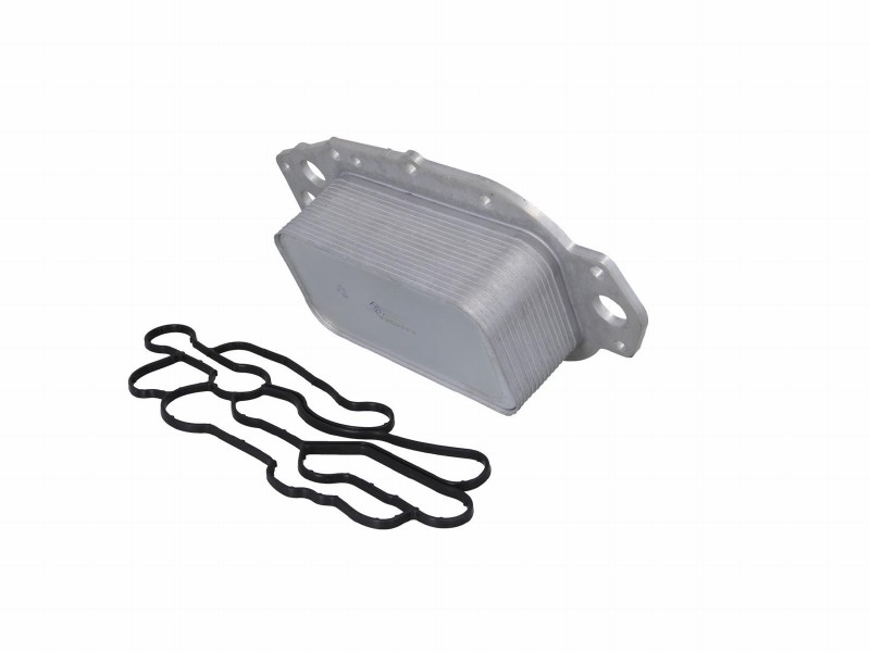 Oil cooler, engine oil