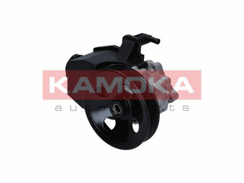 Hydraulic pump, steering