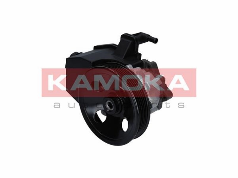 Hydraulic pump, steering