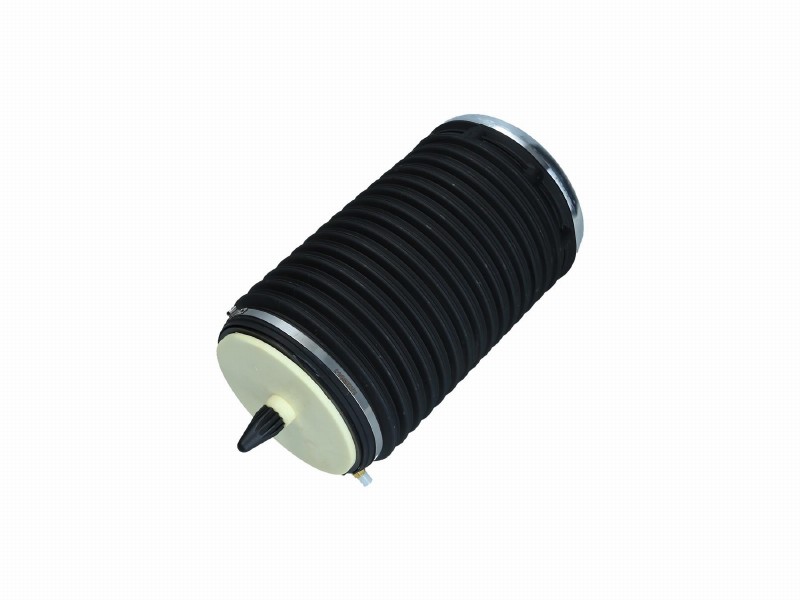 Air spring, suspension