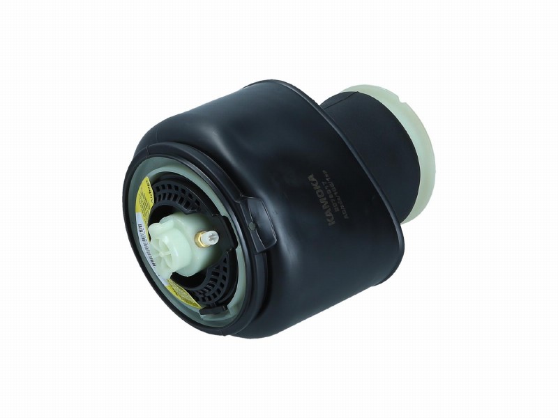 Air spring, suspension