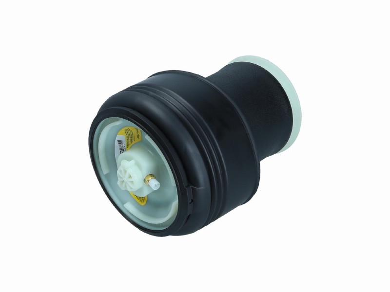 Air spring, suspension