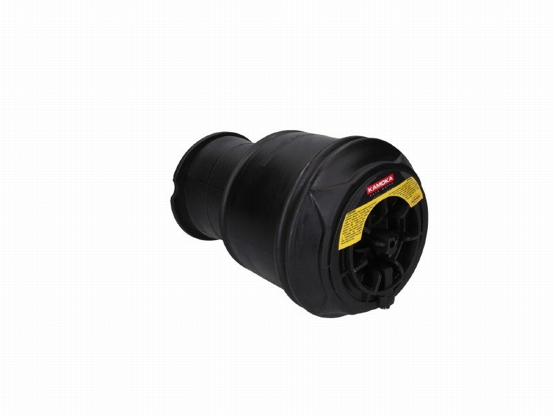 Air spring, suspension
