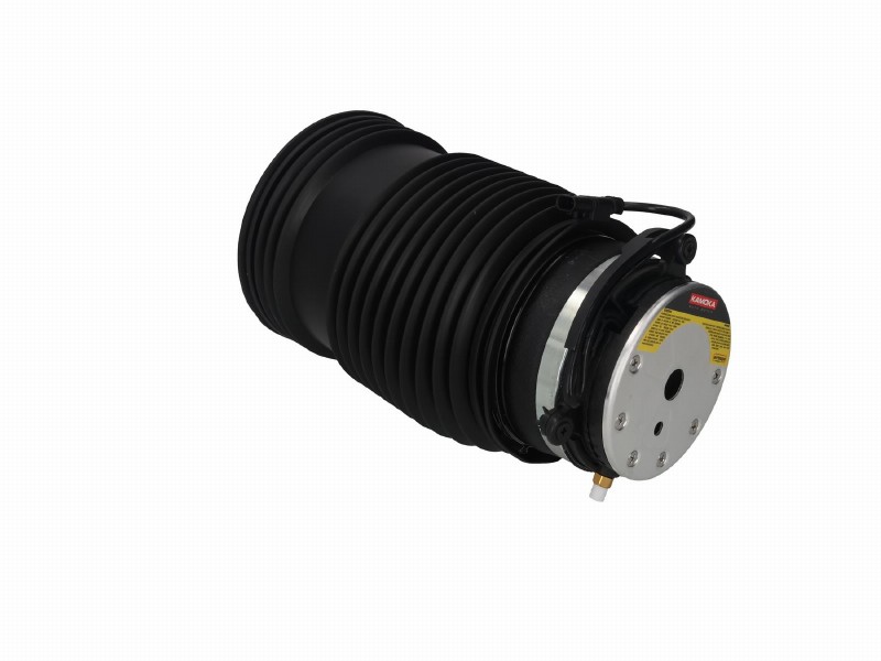 Air spring, suspension