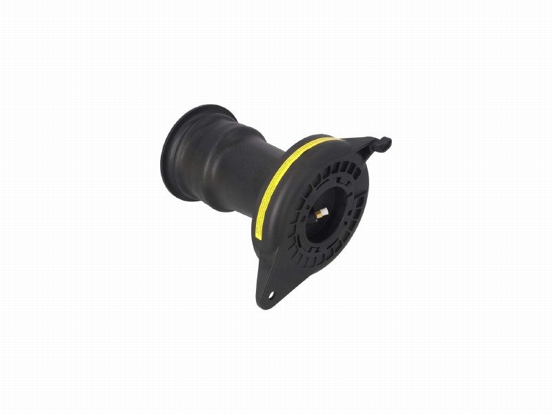 Air spring, suspension