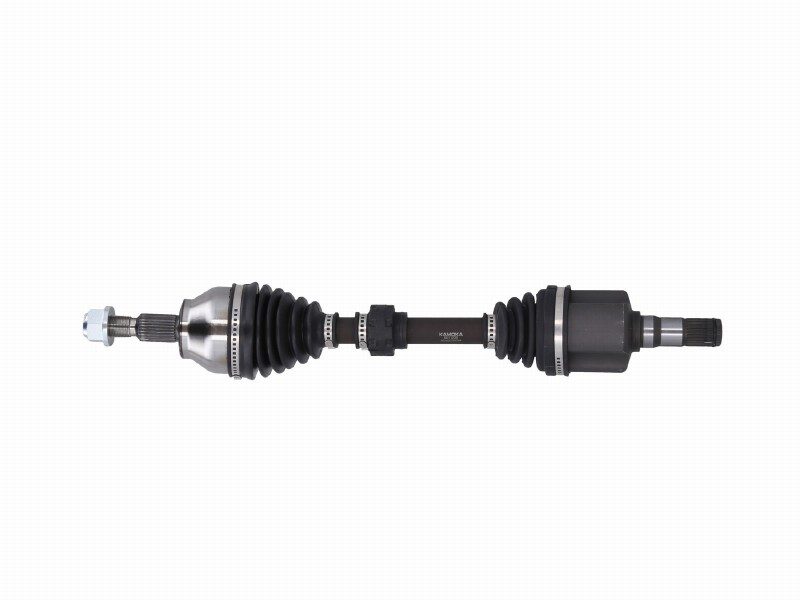Crankshaft/drive shaft