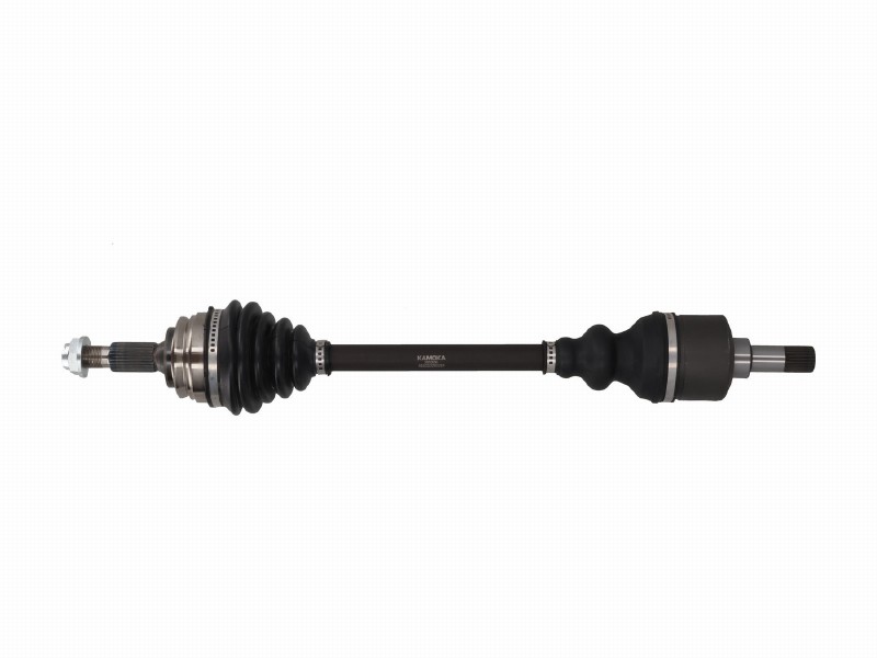 Crankshaft/drive shaft