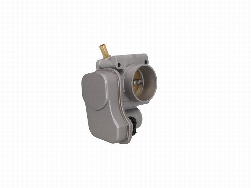 Throttle body