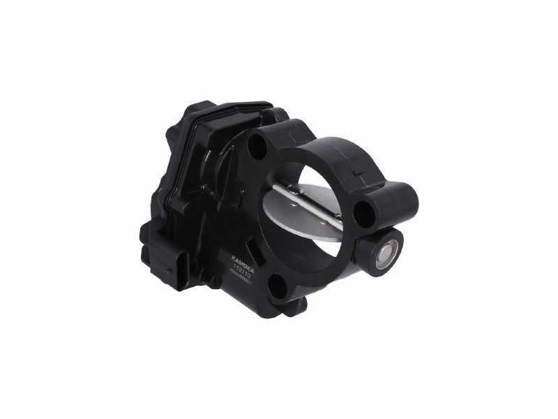 Throttle body