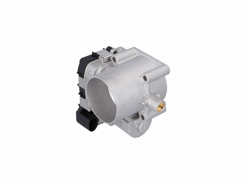 Throttle body