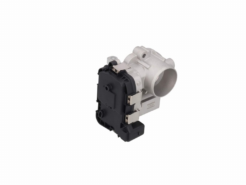Throttle body
