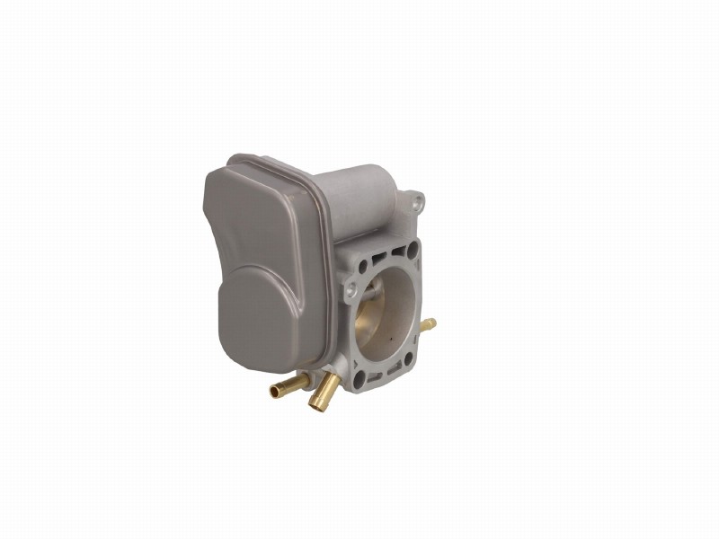 Throttle body