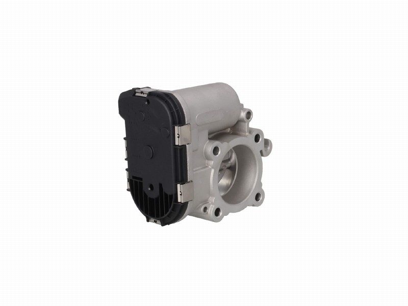 Throttle body