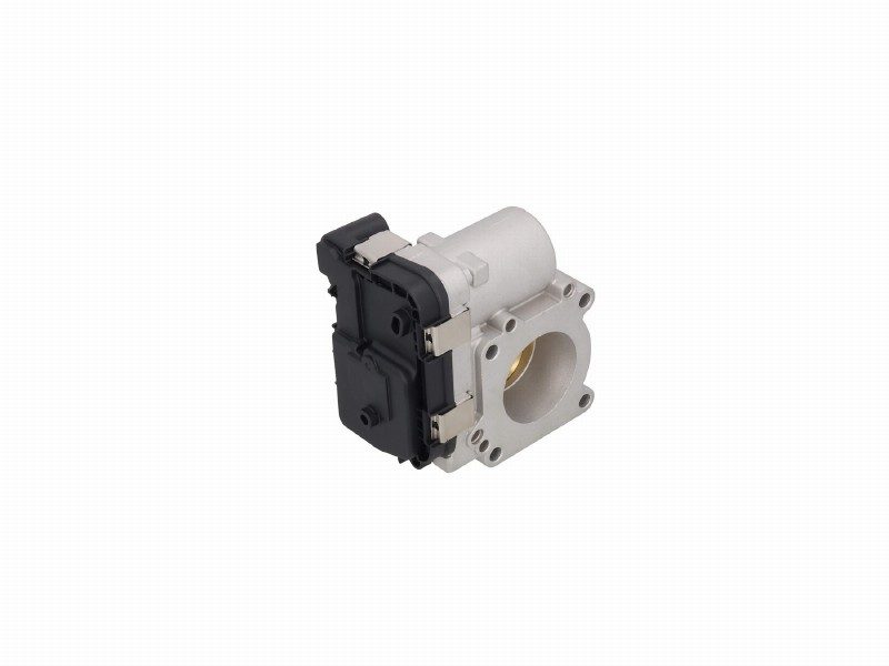 Throttle body