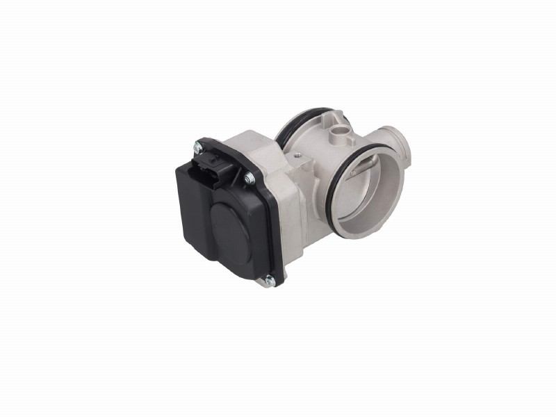 Throttle body