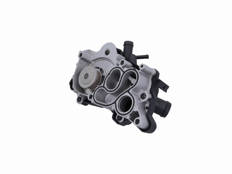 Thermostat, coolant